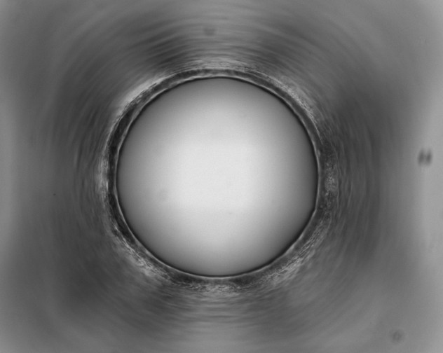 X0000098050979200804111308