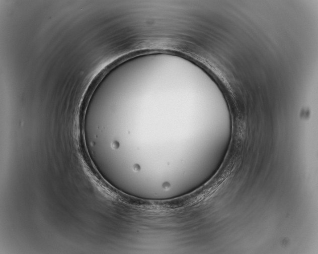 X0000098050980200804111308