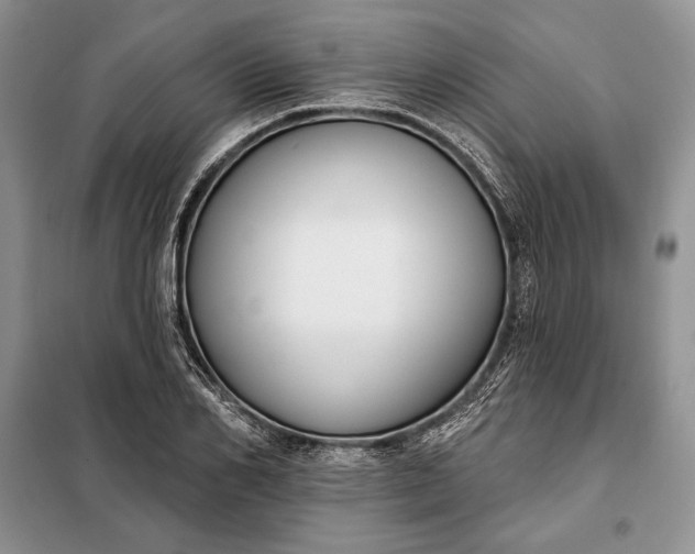 X0000098050982200804111308