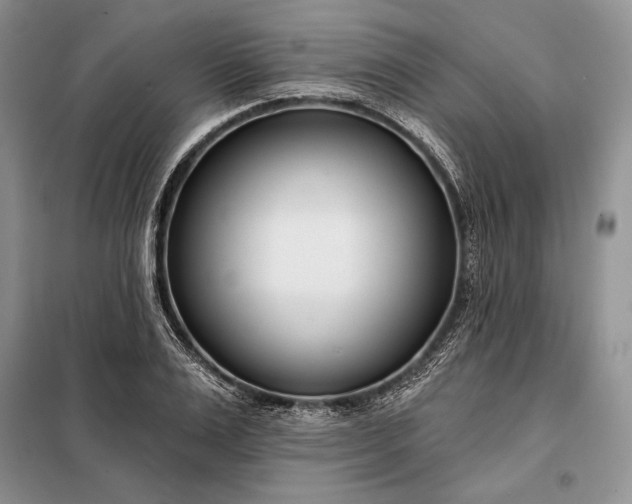 X0000098050983200804111308