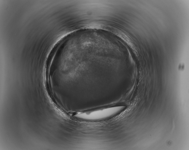 X0000098050984200804111308