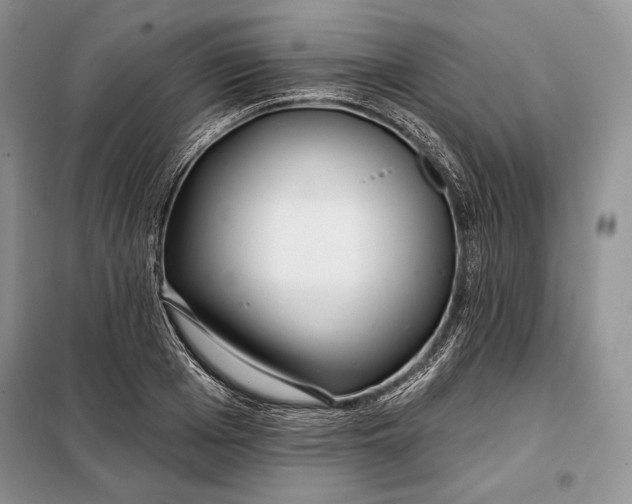 X0000098050985200804111308