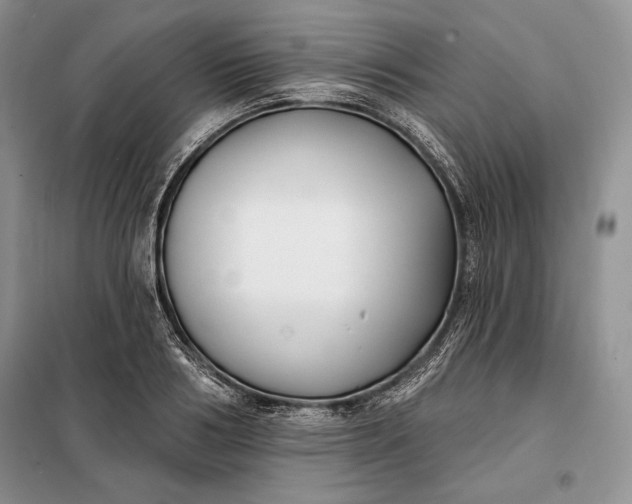 X0000098050986200804111308