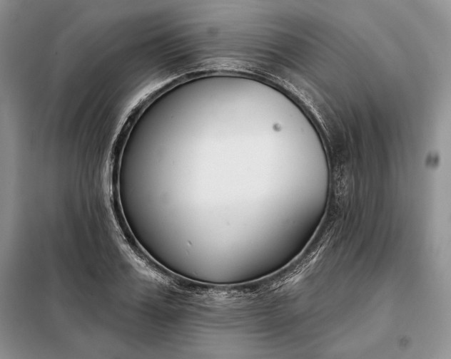 X0000098050987200804111308