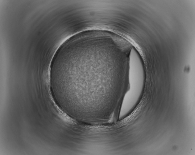 X0000098050988200804111308