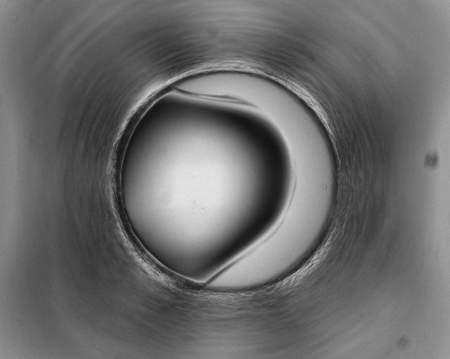 X0000098050989200804111308