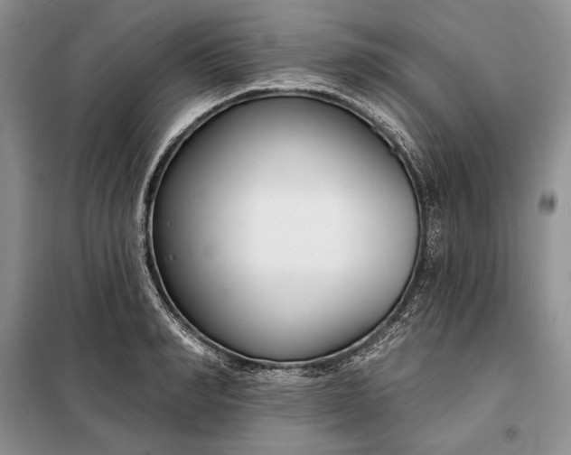 X0000098050990200804111308