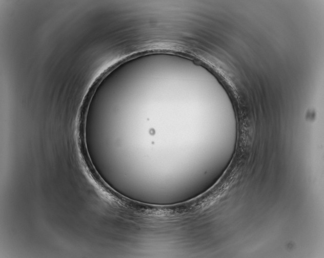 X0000098050991200804111308