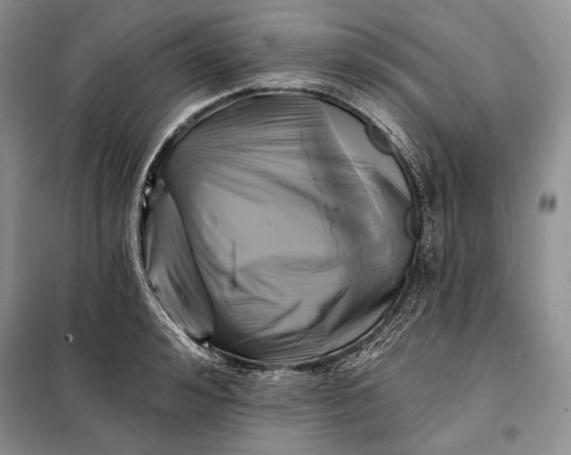 X0000098050992200804111308