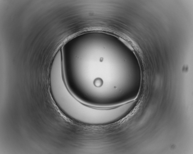 X0000098050993200804111308