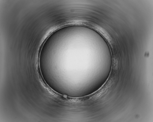 X0000098050994200804111308