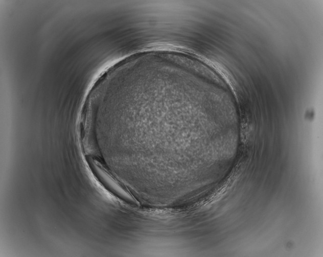 X0000098050995200804111308