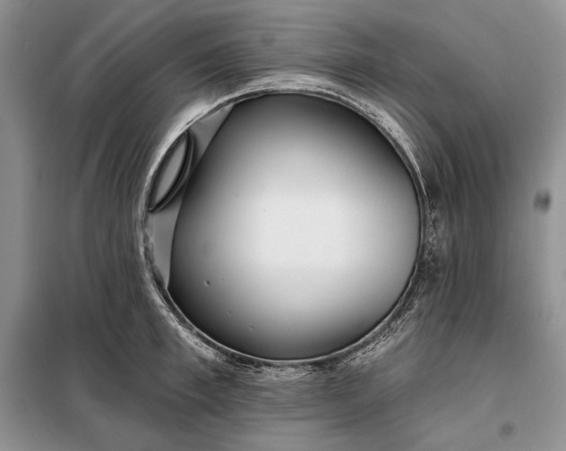 X0000098050997200804111308