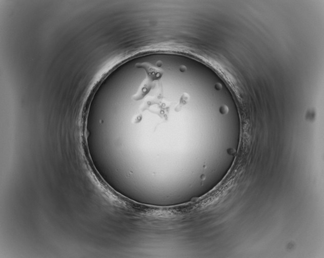 X0000098050998200804111308