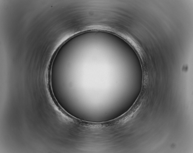 X0000098050999200804111308