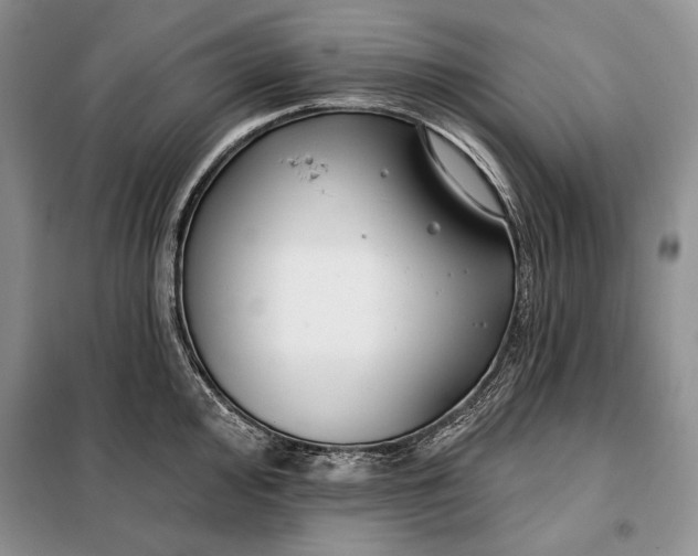 X0000098051000200804111308