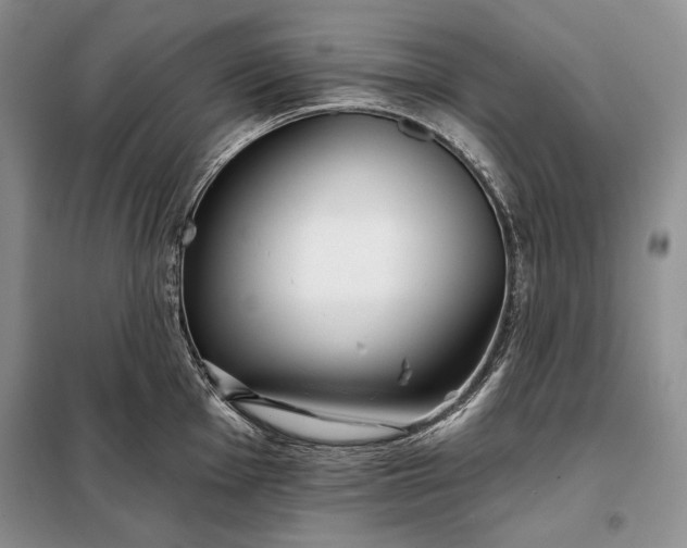 X0000098051001200804111308