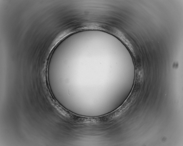 X0000098051002200804111308