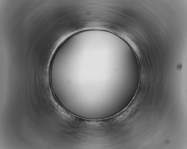 X0000098051004200804111308