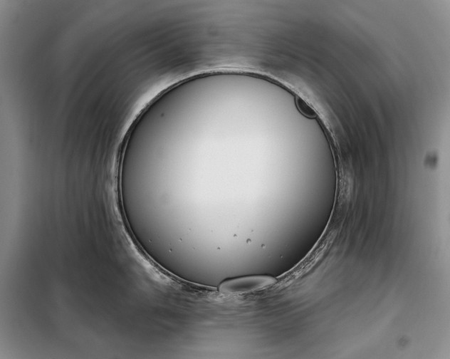 X0000098051006200804111308