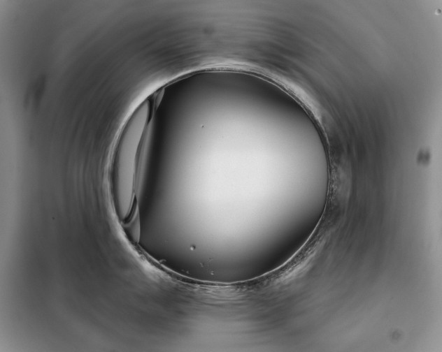 X0000098051007200804111308