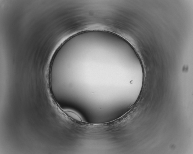 X0000098051008200804111308