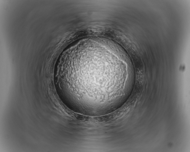 X0000098051009200804111307