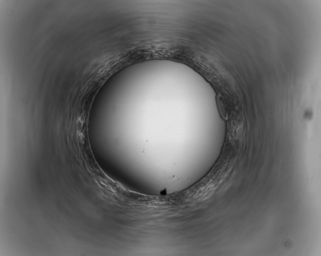 X0000098051010200804111307