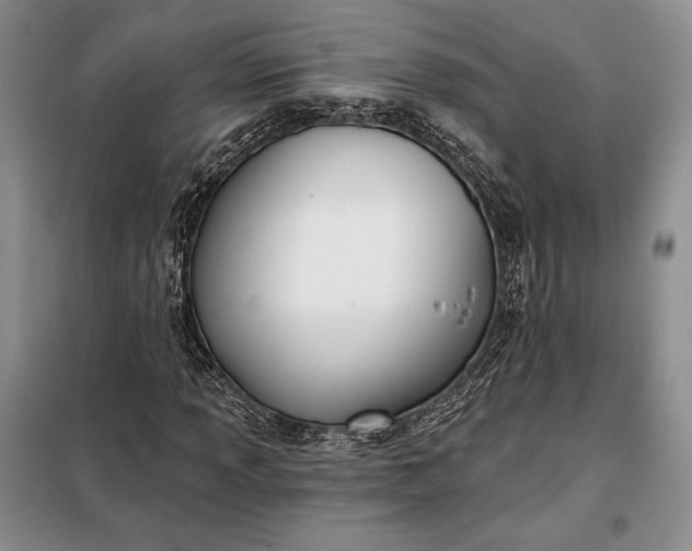 X0000098051013200804111307