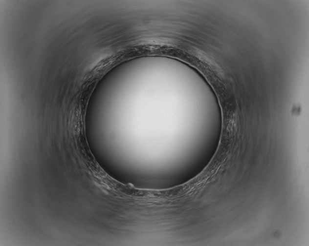 X0000098051014200804111307