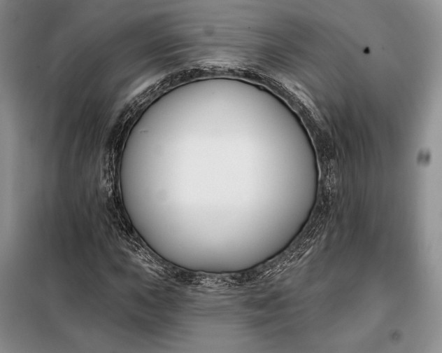 X0000098051015200804111307