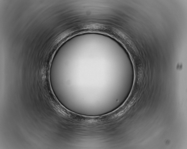 X0000098051017200804111307