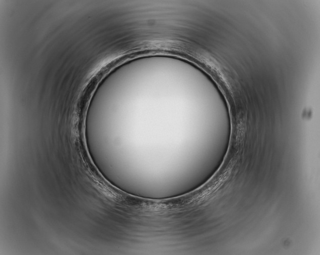 X0000098051019200804111307