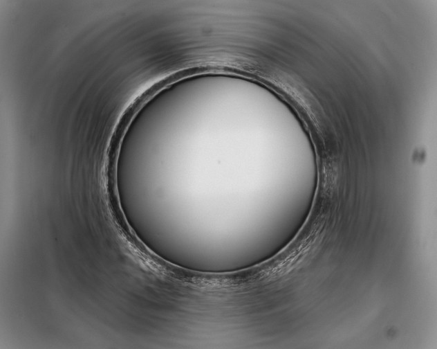 X0000098051020200804111307