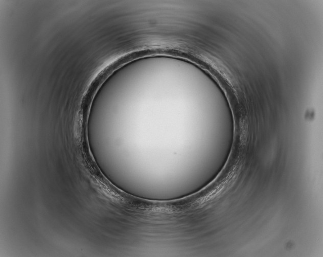 X0000098051021200804111307