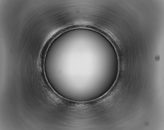 X0000098051022200804111307