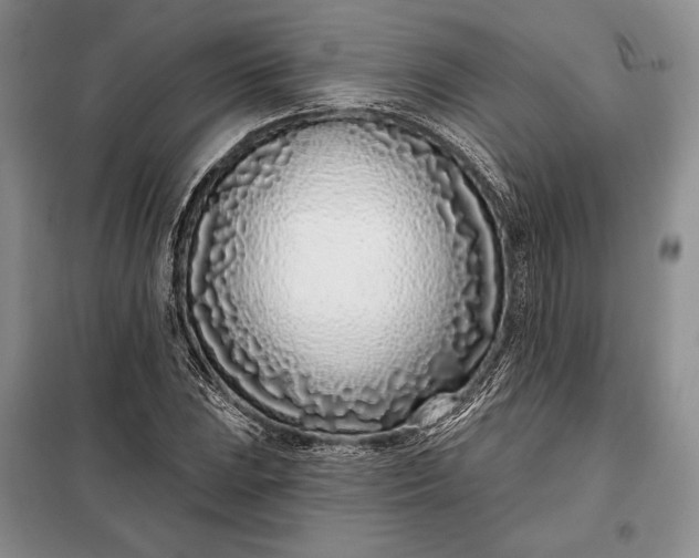 X0000098051023200804111307