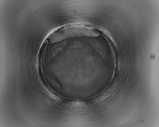 X0000098051024200804111307