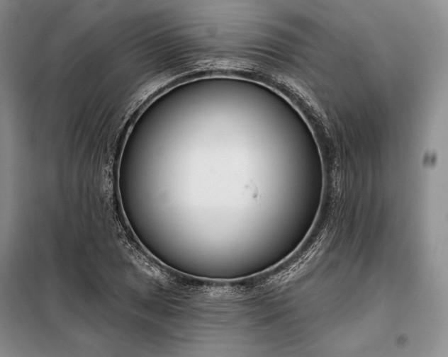 X0000098051025200804111307