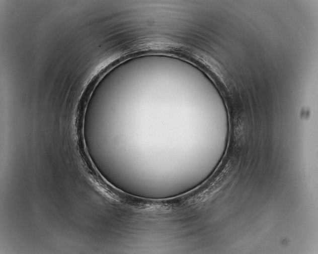 X0000098051026200804111307