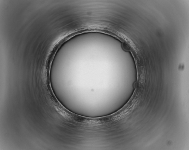 X0000098051027200804111307