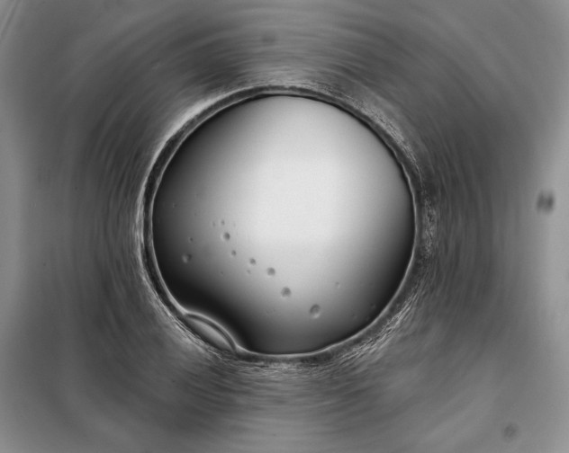 X0000098051028200804111307