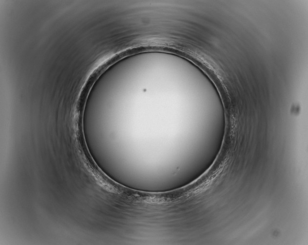 X0000098051029200804111307