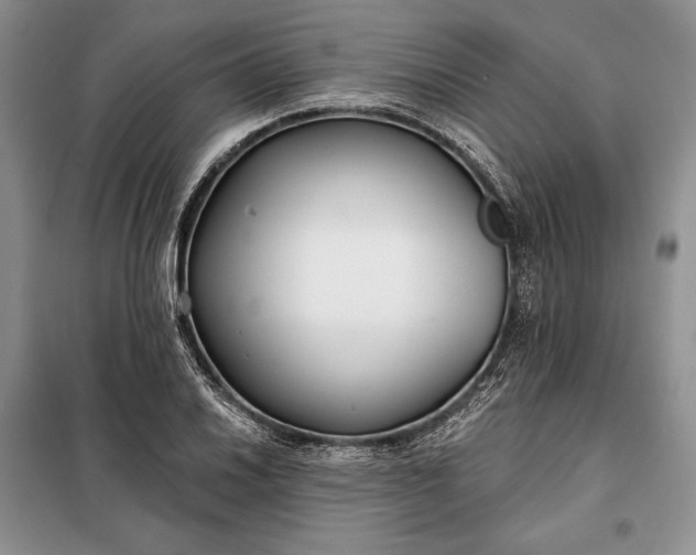 X0000098051030200804111307