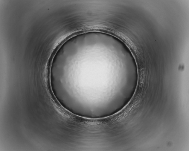 X0000098051031200804111307