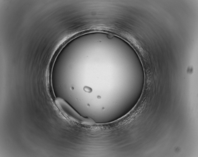 X0000098051032200804111307