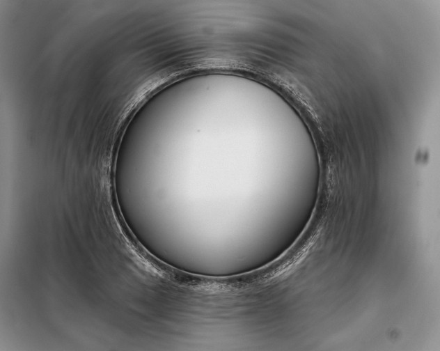 X0000098051033200804111307