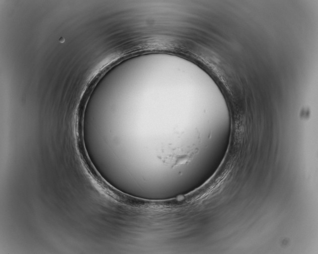 X0000098051034200804111307