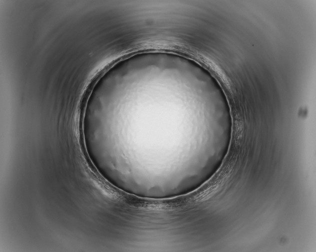 X0000098051035200804111307