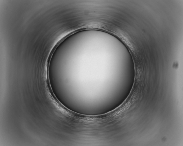 X0000098051036200804111307